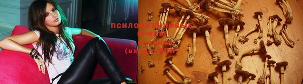 гидропоника Абинск