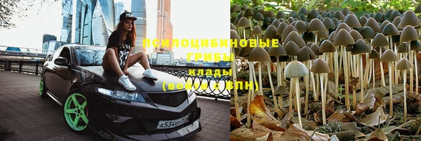 spice Абаза